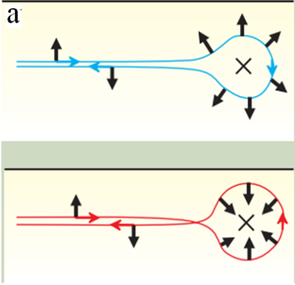p4a