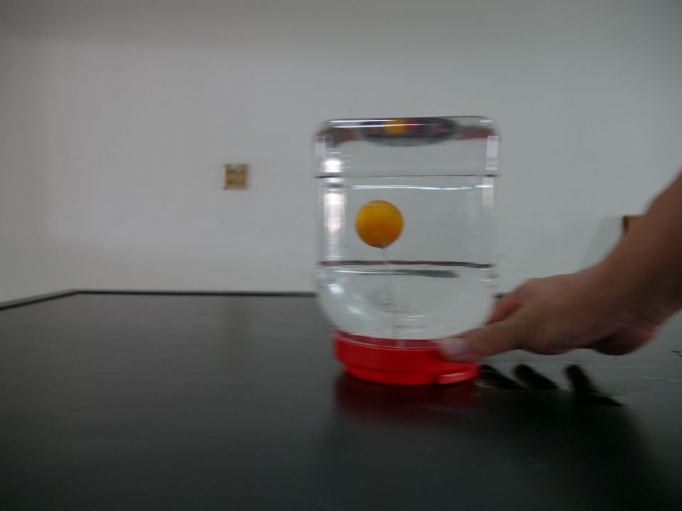 P1110802 P1110802