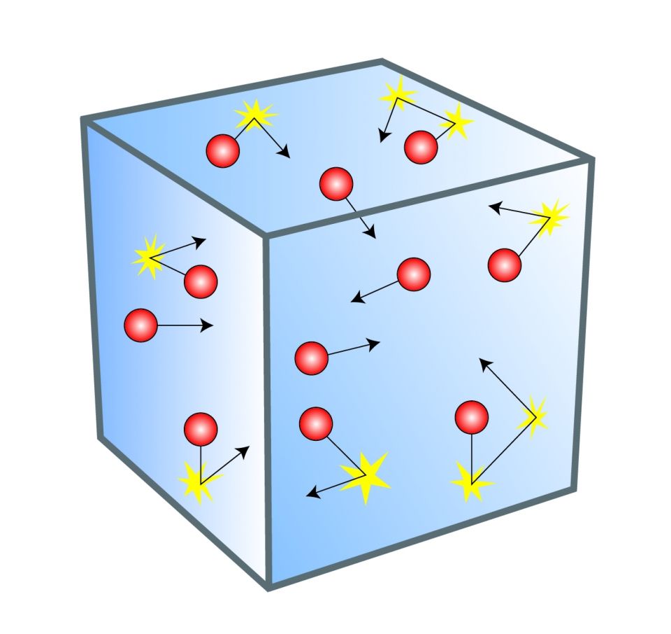 fig2 (15)