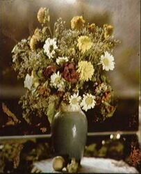 Lippmann_photo_flowers Lippmann_photo_flowers