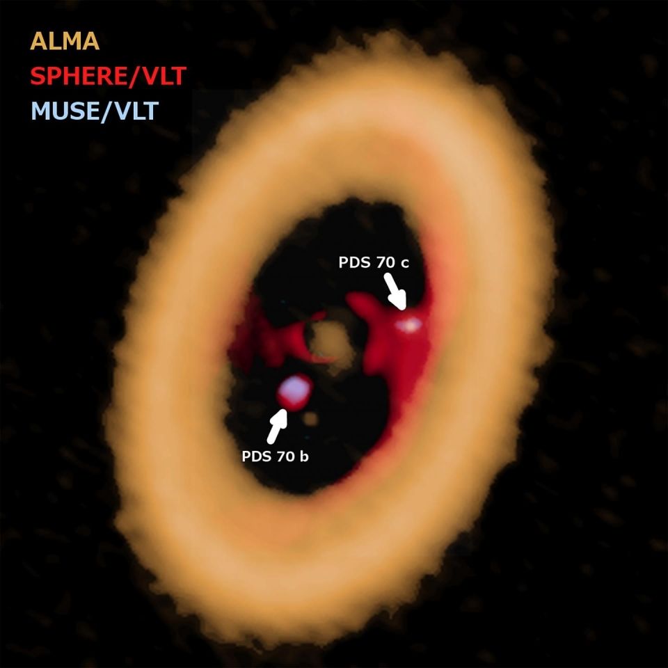 fig8 (1) fig8 (1)