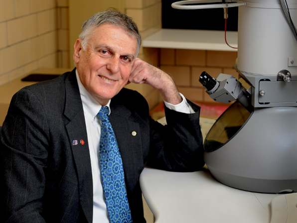  Shechtman 