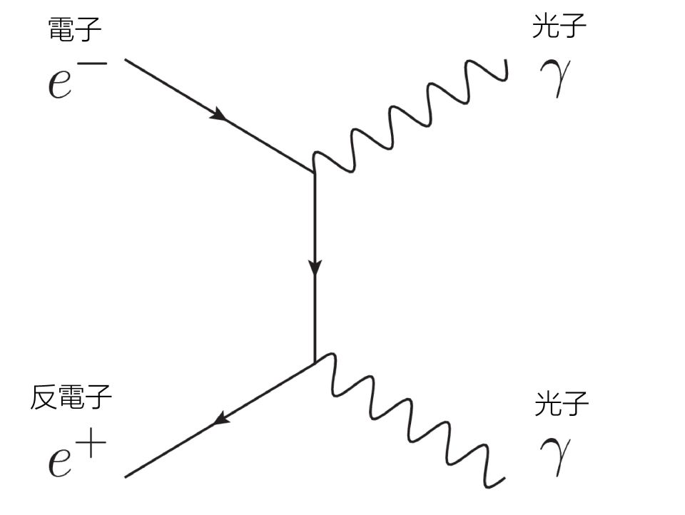 fig1.jpg