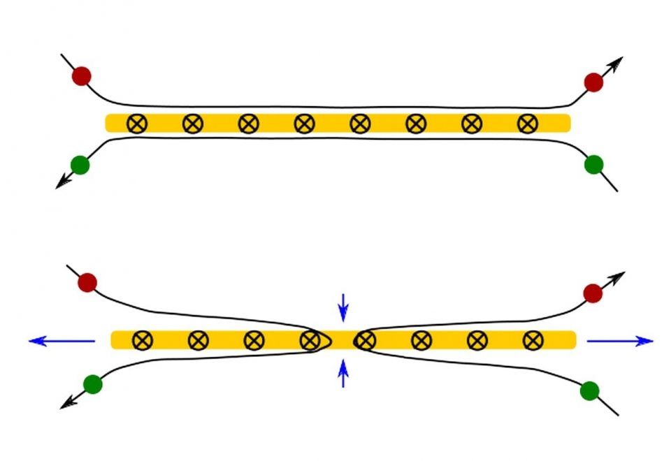 fig3 (12) fig3 (12)