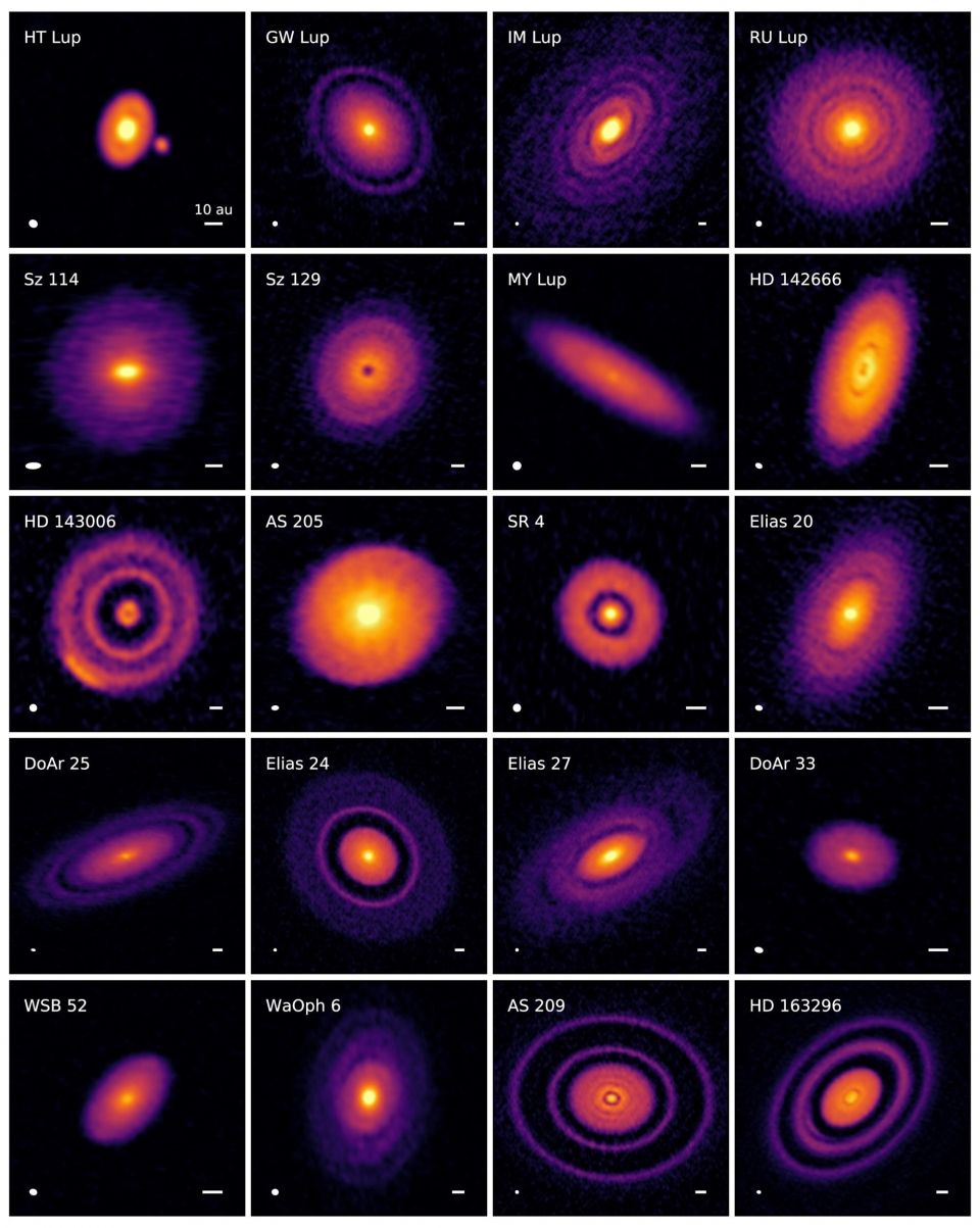 fig6 (5) fig6 (5)