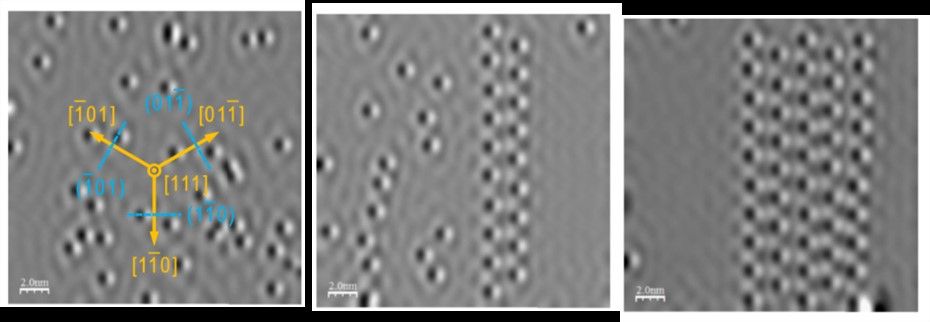 Fig5 Fig5
