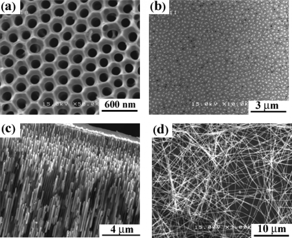 fig8 (2)
