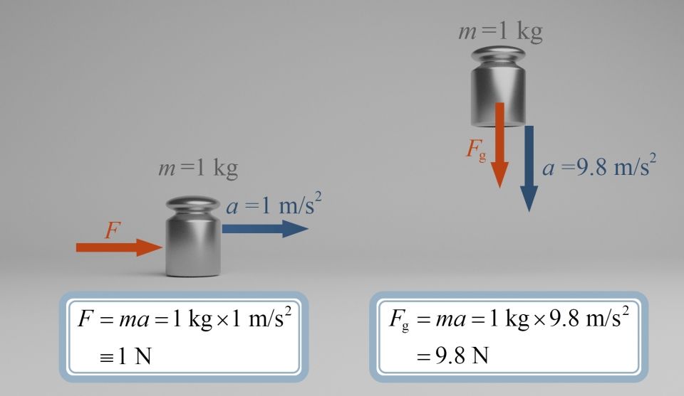 fig2 (11)