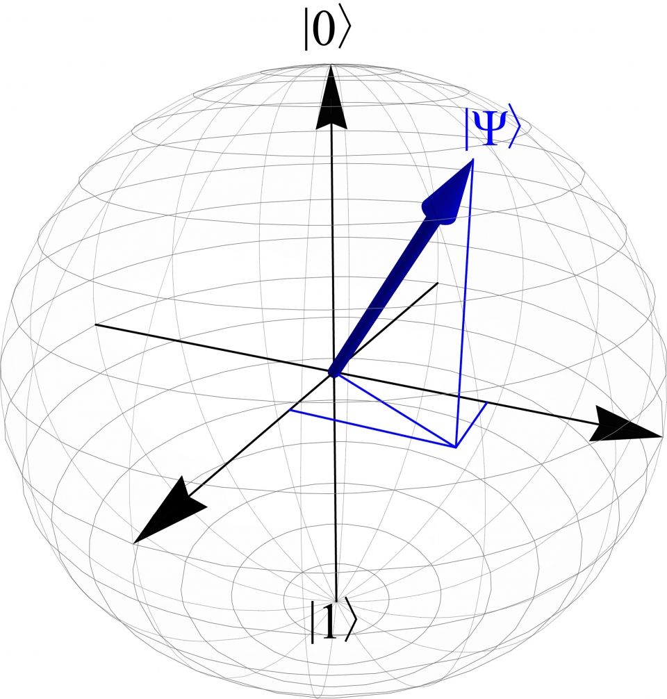 fig1 fig1