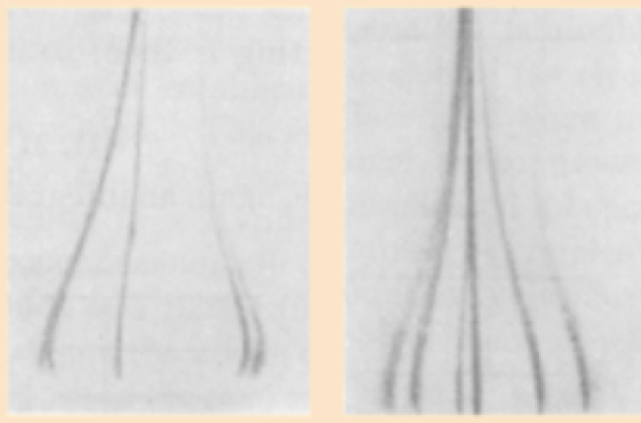 191903 191903