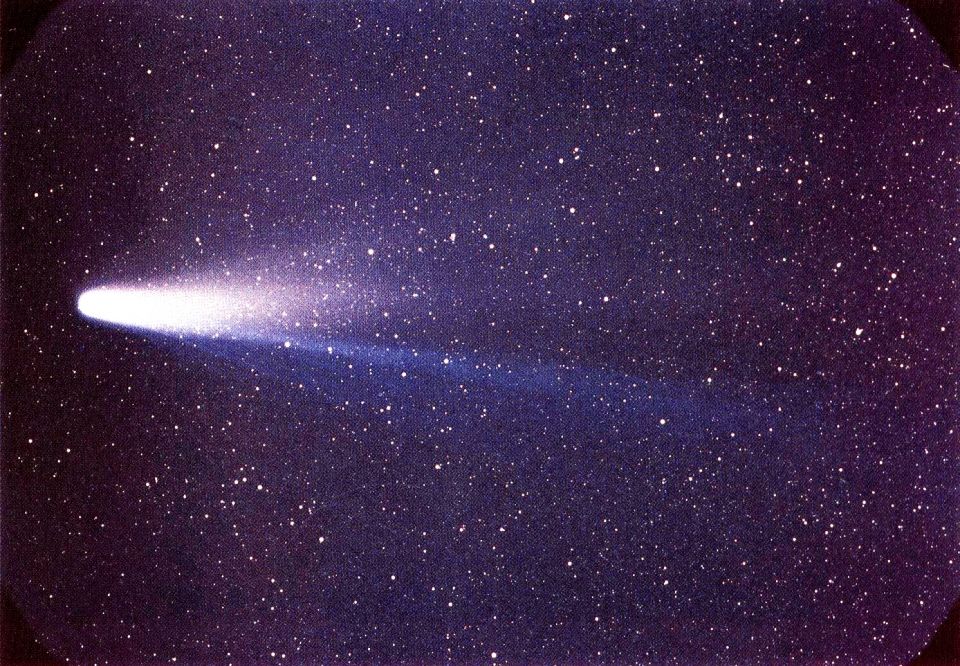 Lspn_comet_halley