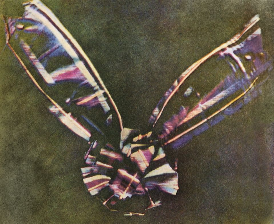 Tartan_Ribbon Tartan_Ribbon